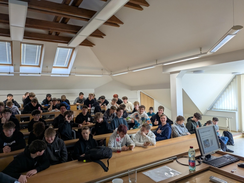 Přednáška - Trestná činnost mládeže