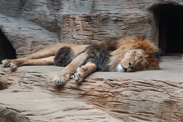 Aktuality - Výlet žáků 3. ročníku oboru autolakýrník: Motokáry a&nbsp;ZOO Olomouc