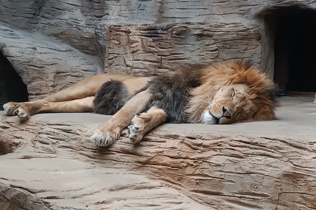Motokáry a ZOO Olomouc